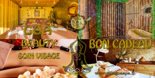 GOA SOIN VISAGE
